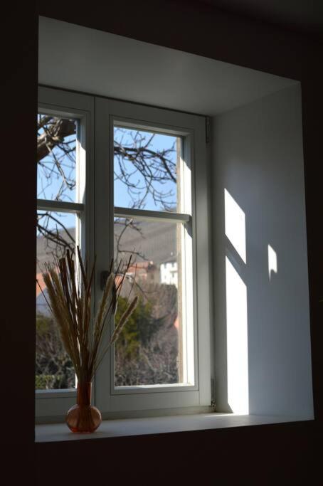La Douce Escale Daire Turckheim Dış mekan fotoğraf